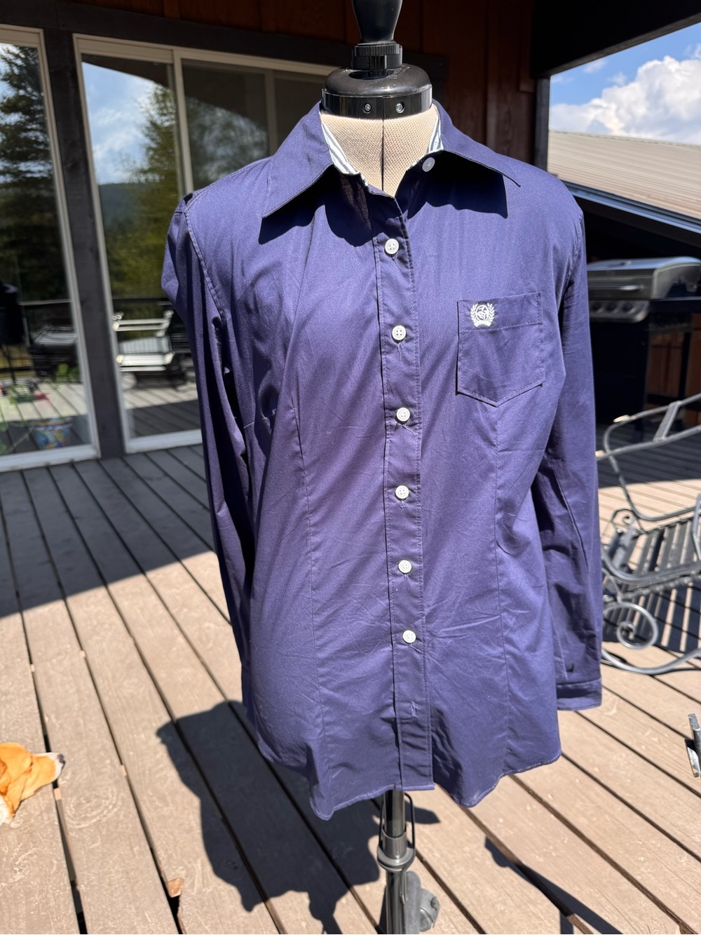 Small Navy Women’s Cinch Button Down